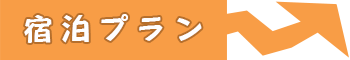 宿泊プラン