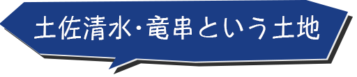 土佐清水 竜串という土地