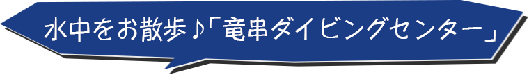 水中をお散歩 竜串ダイビングセンター